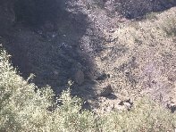 Salto_del_Cane - Crateri_di_salto_del_cane_20100228 017.jpg